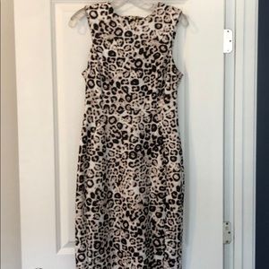 Calvin Klein fitted dress